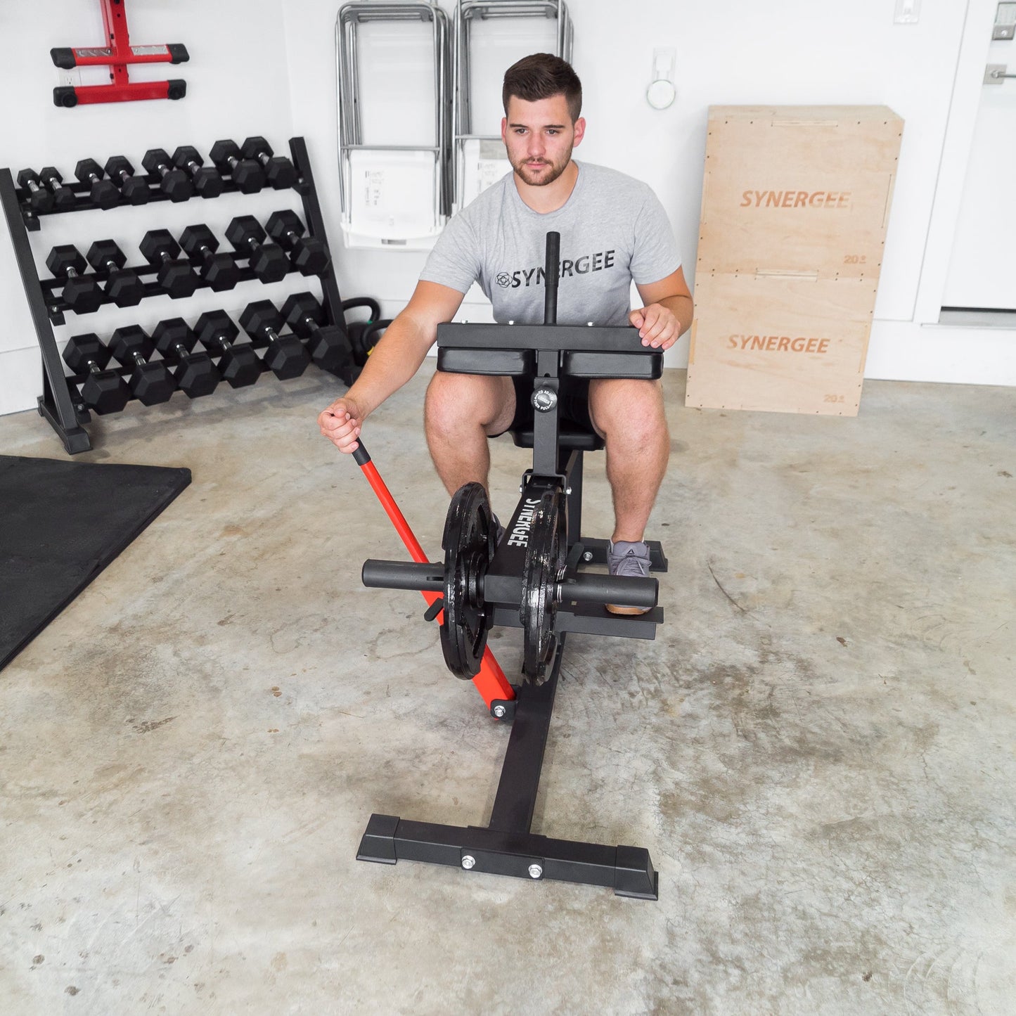 Synergee Seated Calf Raise Machine