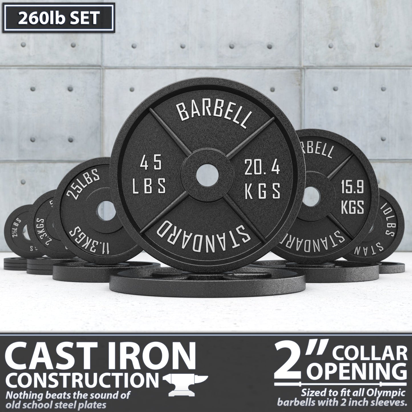 Synergee Standard Metal Weight Plates