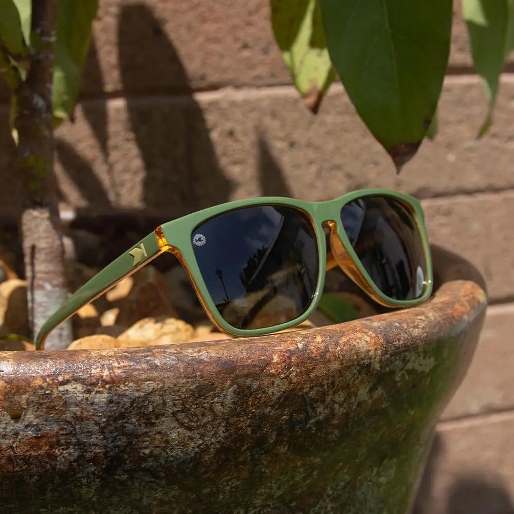 Coyote Calls Fast Lanes