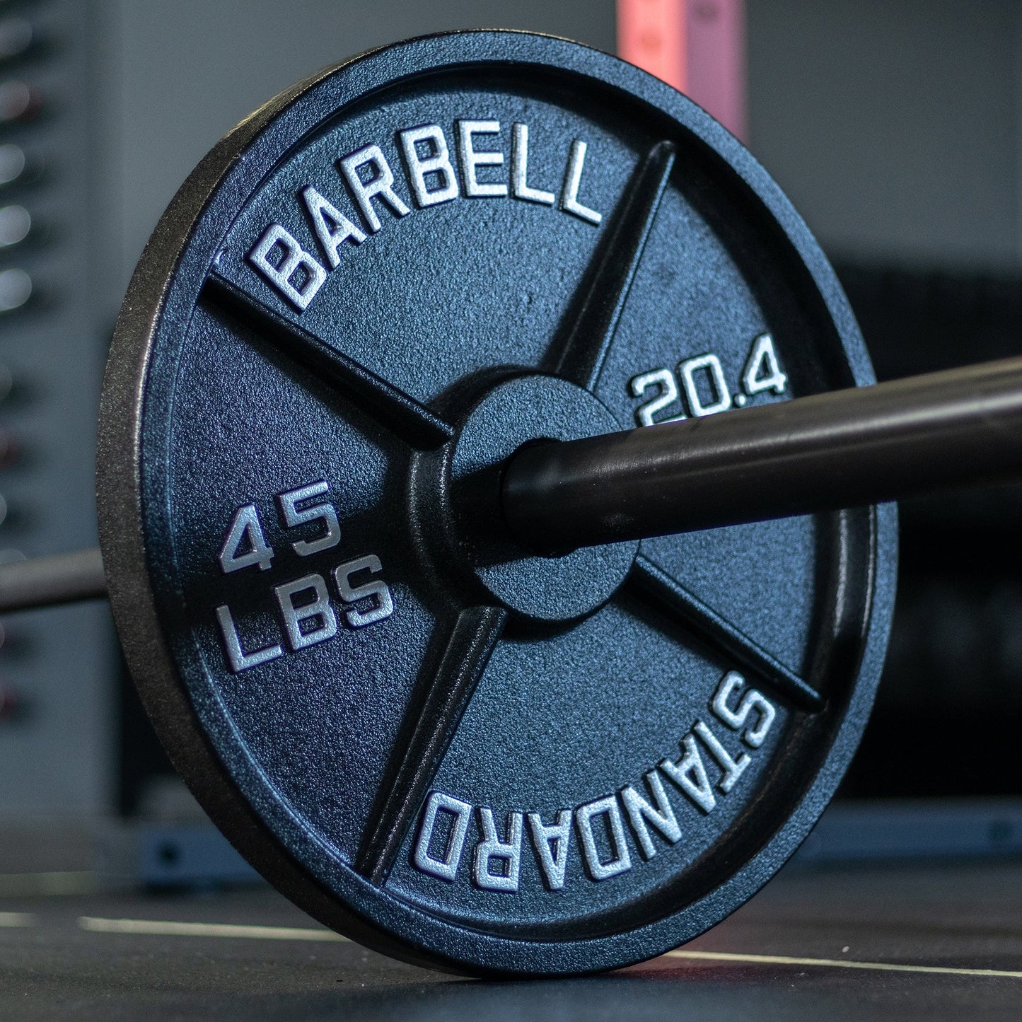 Synergee Standard Metal Weight Plates