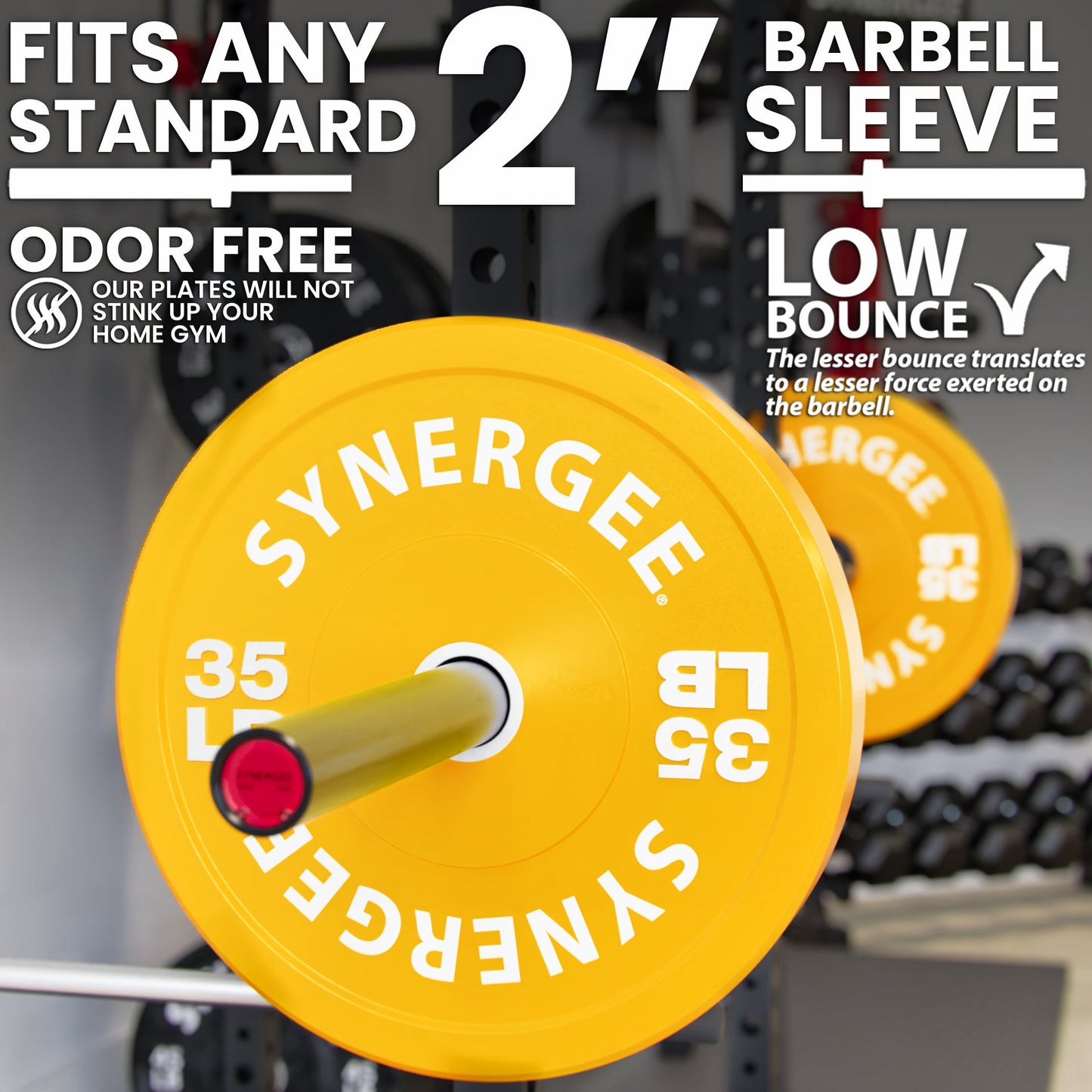 Synergee Bumper Plates